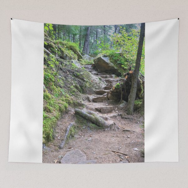 Item preview, Chilkoot trail at Dyea designed and sold by zumi.