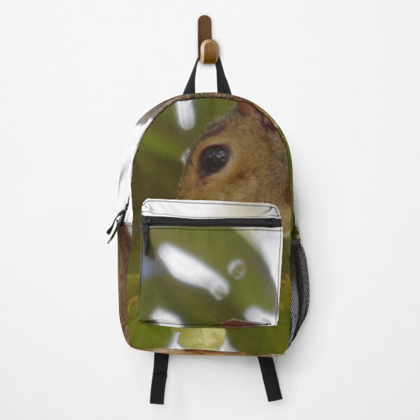 Item preview, Wary Squirrel in Hickory Tree designed and sold by gistinker.