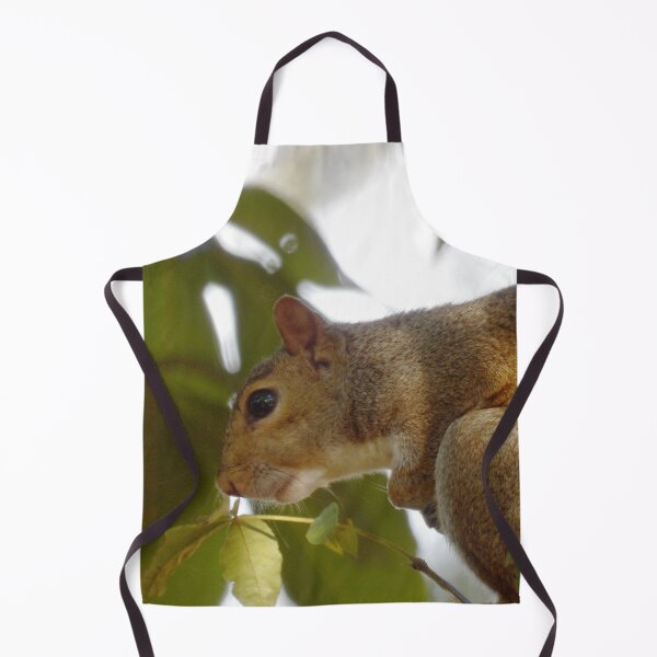 Item preview, Wary Squirrel in Hickory Tree designed and sold by gistinker.