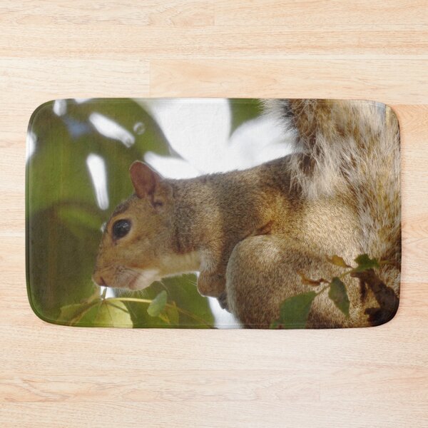 Item preview, Wary Squirrel in Hickory Tree designed and sold by gistinker.