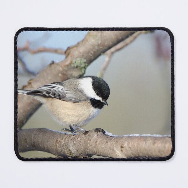 Item preview, Chickadee on a tree branch designed and sold by rodmacpherson.