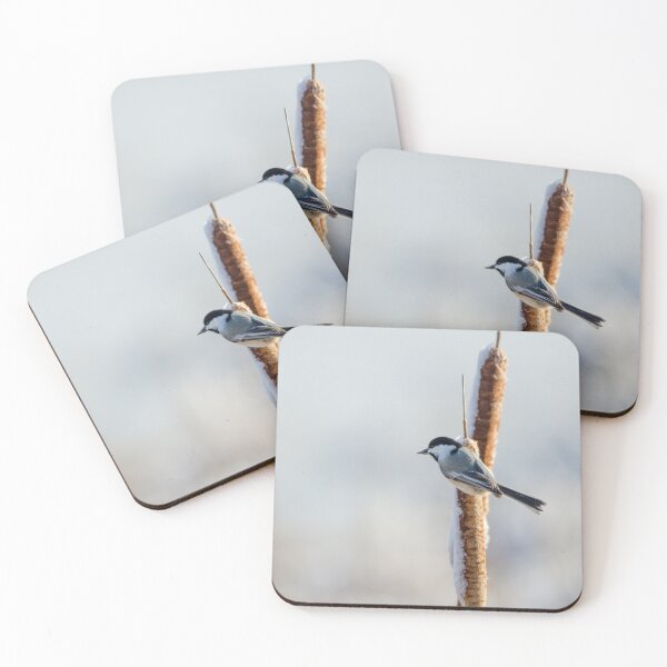 Item preview, Chickadee perched on a cattail designed and sold by rodmacpherson.