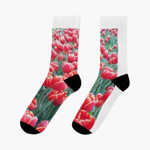 Item preview, Photos of flower gardens from travel designed and sold by SonAndMom.