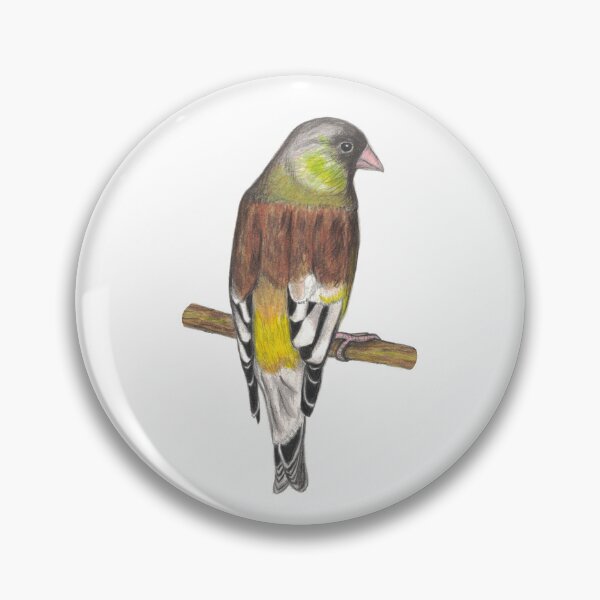 Item preview, Oriental greenfinch designed and sold by morizukan.