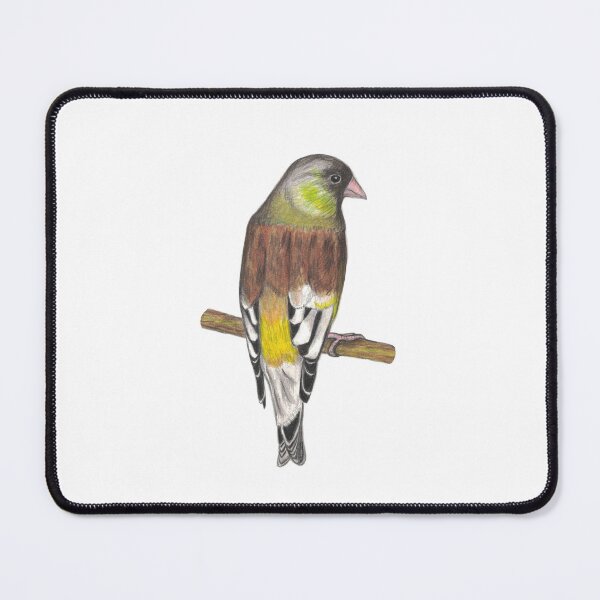 Item preview, Oriental greenfinch designed and sold by morizukan.