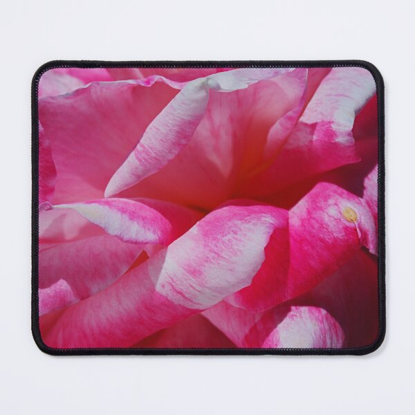 Item preview, Pink Rose Petal Waves designed and sold by Joy Watson - Natural Light Photography .