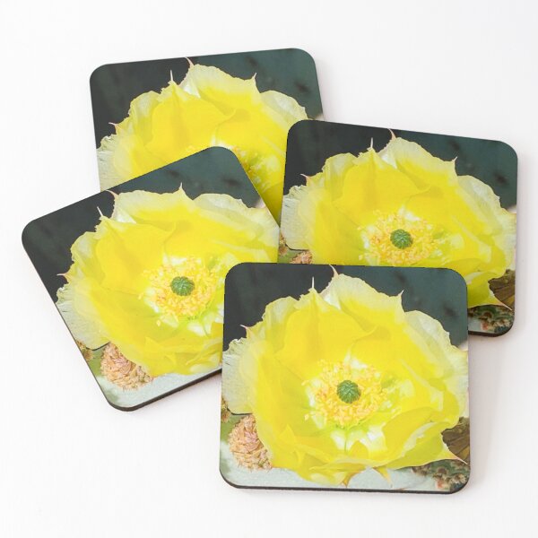 Item preview, Prickly Pear Cactus  ;0) designed and sold by NatureSoReal.