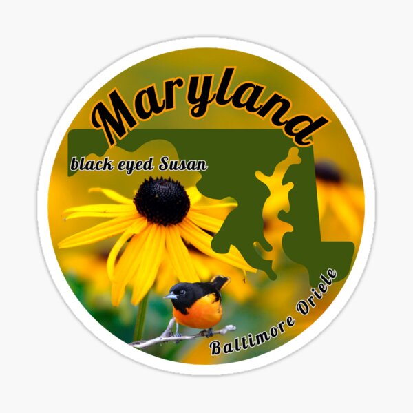 Item preview, Maryland State Sticker with State Flower and Bird designed and sold by lepapierbleu.