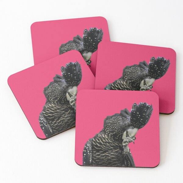 Item preview, Red-tailed black-cockatoo female transparent sticker designed and sold by Ozjanette90.
