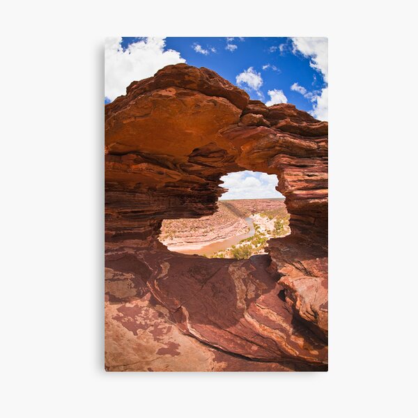 Item preview, Natures Window designed and sold by aabzimaging.