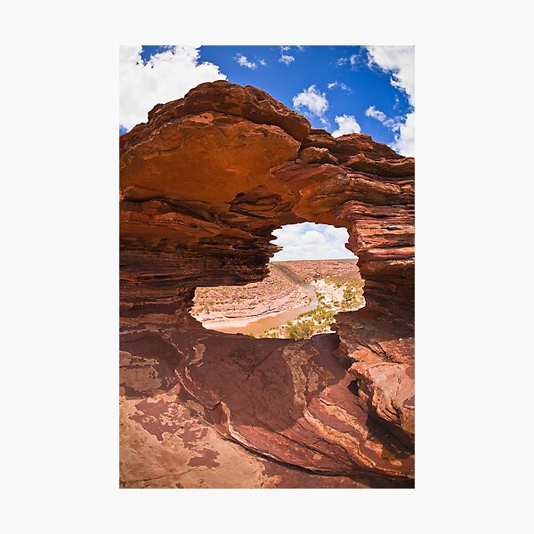 Item preview, Natures Window designed and sold by aabzimaging.