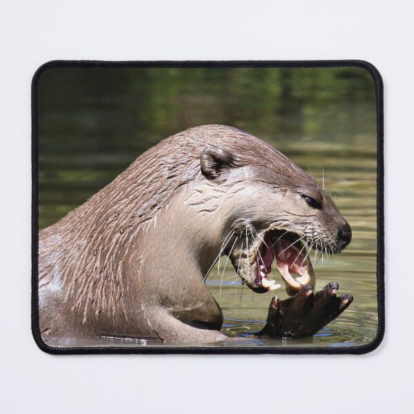 Item preview, Hungry Otter designed and sold by Fearless-Fox.