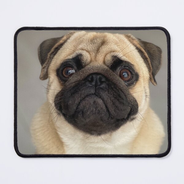 Item preview, I love pugs designed and sold by GasconyPassion.