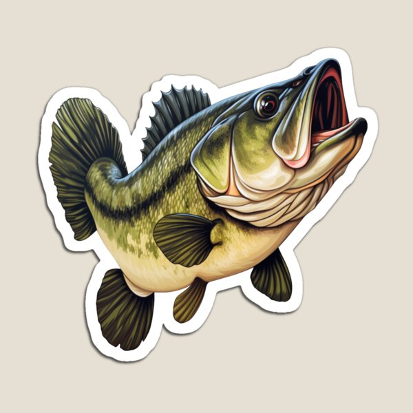 Freshwater Game Fish magnets - Largemouth Bass - Full Color Largemouth Bass  Magnet printed on clear vinyl