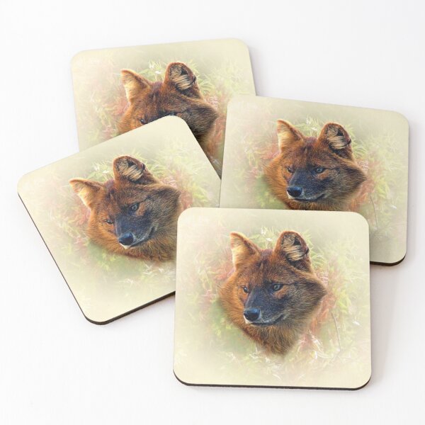 Item preview, Dhole-Asian wild dog designed and sold by Guardi71.