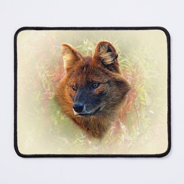 Item preview, Dhole-Asian wild dog designed and sold by Guardi71.
