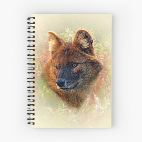 Item preview, Dhole-Asian wild dog designed and sold by Guardi71.