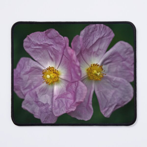 Item preview, Crinkly Pink designed and sold by Krys Bailey.