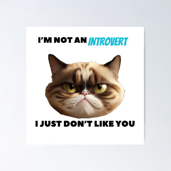 Angry Cat Meme I'm Grumpy So What Poster