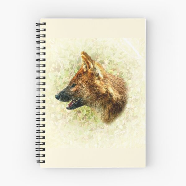 Item preview, Dhole-Asian wild dog designed and sold by Guardi71.