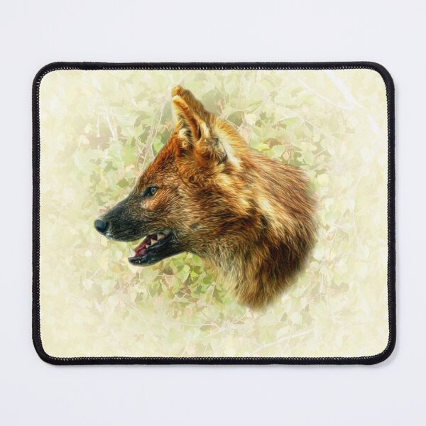 Item preview, Dhole-Asian wild dog designed and sold by Guardi71.