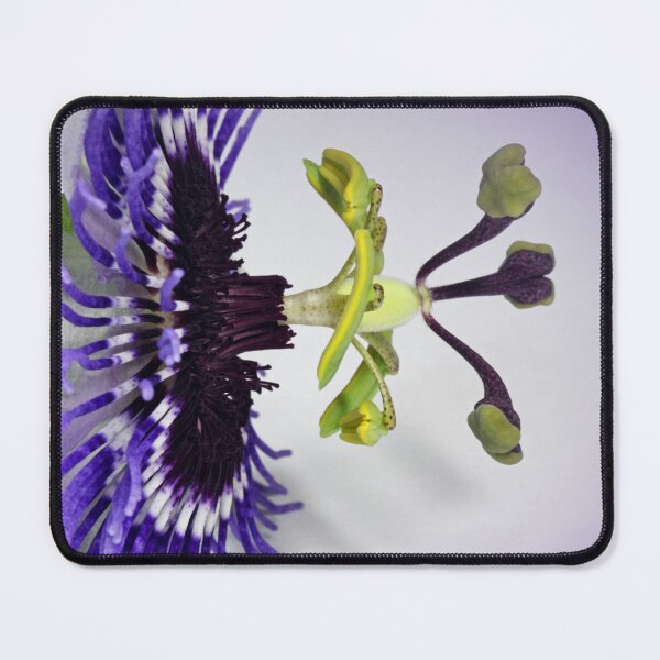 Item preview, Passion designed and sold by Krys Bailey.