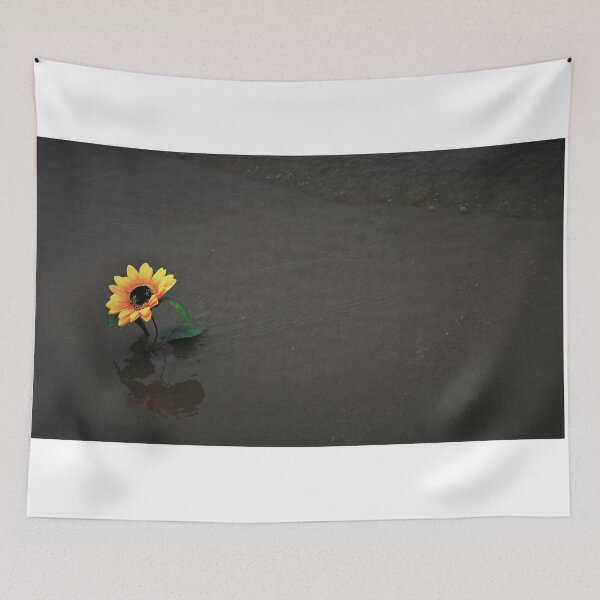 Item preview, The 11th Online Photo Exhibition. "Nature's Tranquil Moment"  https://buly.kr/4Fp4Y3p designed and sold by PHOTOANWORLD.
