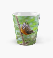 Baltimore Oriole - female Tall Mug