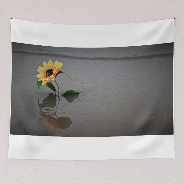 Item preview, The 11th Online Photo Exhibition. "Nature's Timeless Symphony"  https://buly.kr/4Fp4Y3p designed and sold by PHOTOANWORLD.