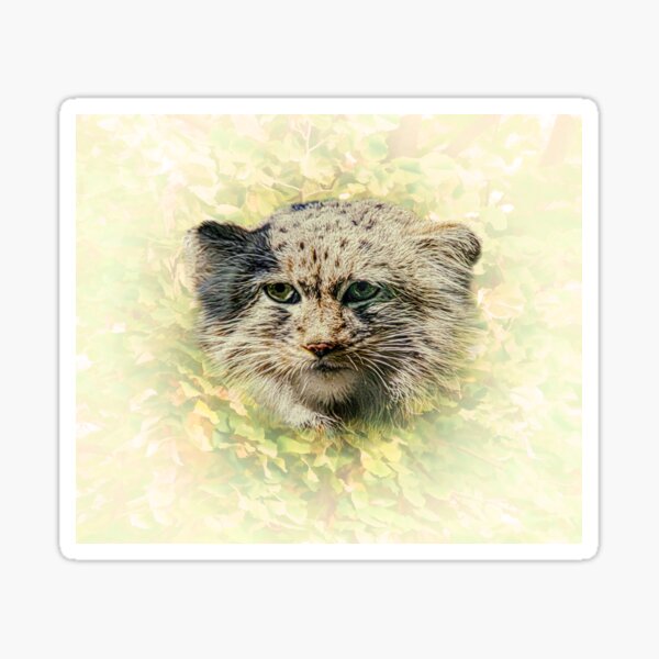 Vista previa del artículo con la obra «El gato de Manul-Pallas», diseñado y vendido por Guardi71.