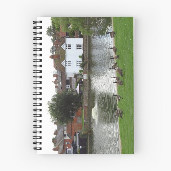 Item preview, Canadian Geese, Doctors Pond, Great Dunmow, Essex designed and sold by wiggyofipswich.
