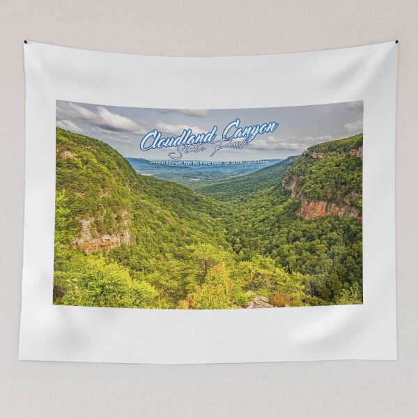 Item preview, Cloudland Canyon Georgia State Park designed and sold by GestaltImagery.