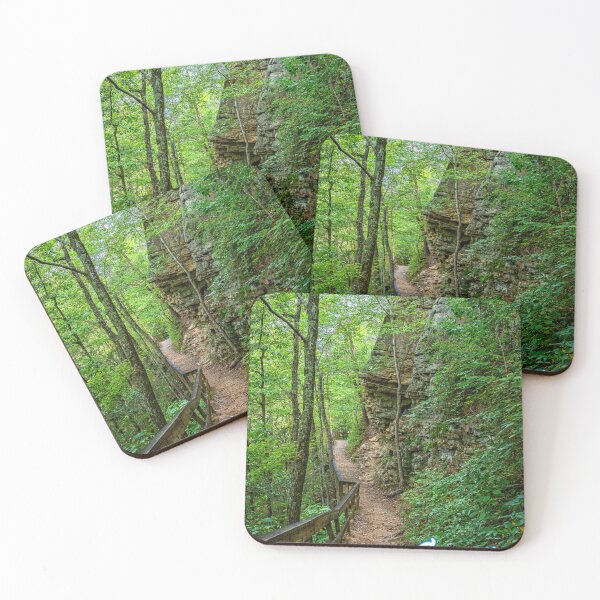 Item preview, Cloudland Canyon Georgia State Park designed and sold by GestaltImagery.