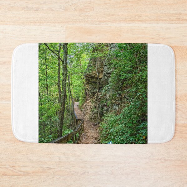 Item preview, Cloudland Canyon Georgia State Park designed and sold by GestaltImagery.