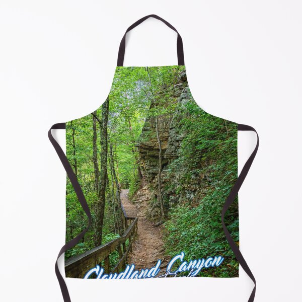 Item preview, Cloudland Canyon Georgia State Park designed and sold by GestaltImagery.