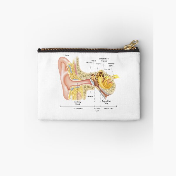 Item preview, Anatomy of The Ear designed and sold by Hoorahville.