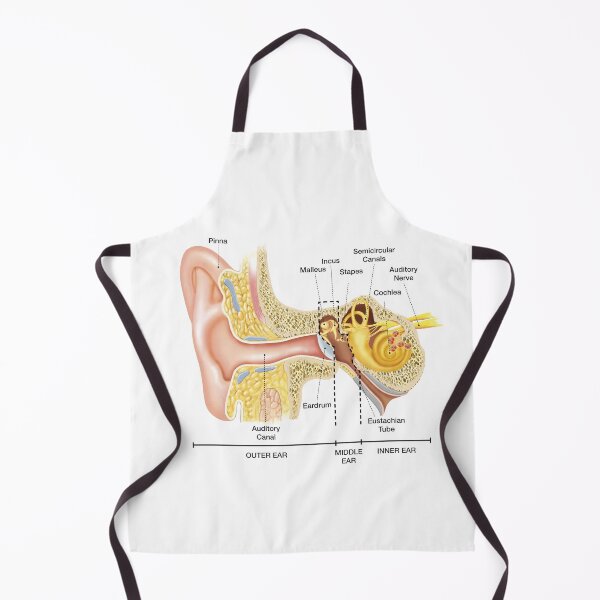 Item preview, Anatomy of The Ear designed and sold by Hoorahville.