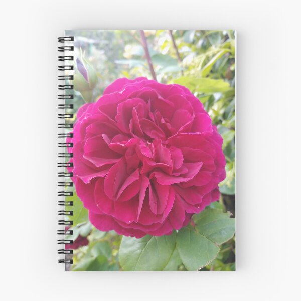 Item preview, Red Rose In Bloom designed and sold by JacquiRose23.