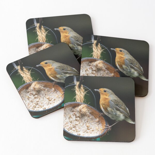 Item preview, Little Robin on the half coconut designed and sold by StelleryART.