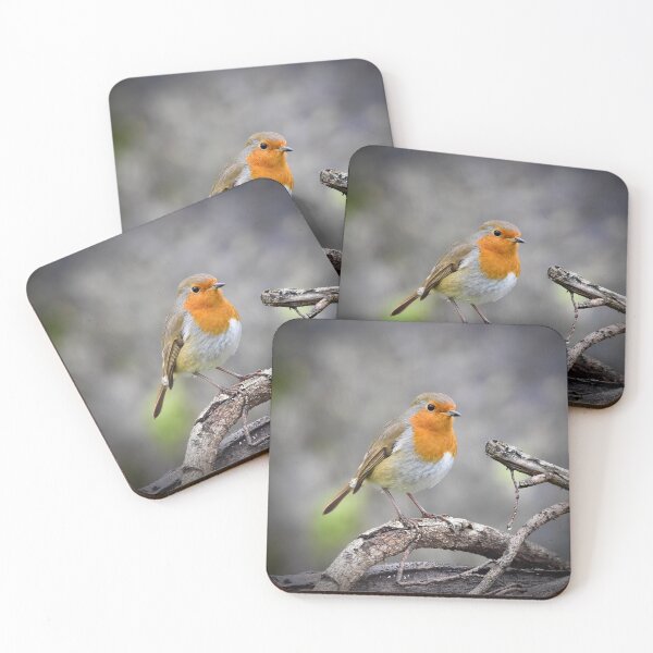 Item preview, Robin Strikes a Pose designed and sold by Kerry Palmer.