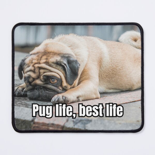 Item preview, Pug life, best life designed and sold by GasconyPassion.