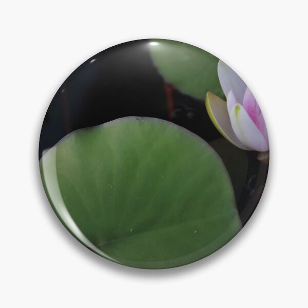 Item preview, The 11th Online Photo Exhibition. "Nature's Poetic Splendor"   https://buly.kr/4Fp4Y3p designed and sold by PHOTOANWORLD.