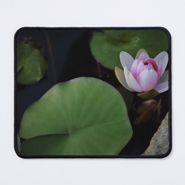 Item preview, The 11th Online Photo Exhibition. "Nature's Poetic Splendor" https://buly.kr/4Fp4Y3p designed and sold by PHOTOANWORLD.