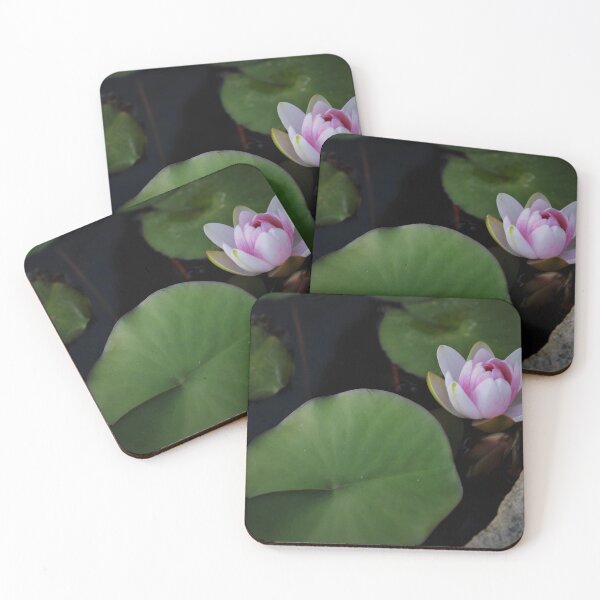 Item preview, The 11th Online Photo Exhibition. "Nature's Poetic Splendor"   https://buly.kr/4Fp4Y3p designed and sold by PHOTOANWORLD.