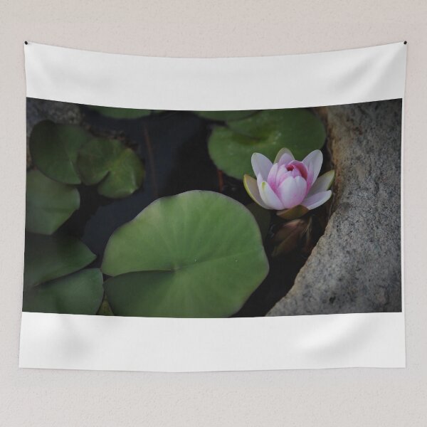Item preview, The 11th Online Photo Exhibition. "Nature's Poetic Splendor"   https://buly.kr/4Fp4Y3p designed and sold by PHOTOANWORLD.