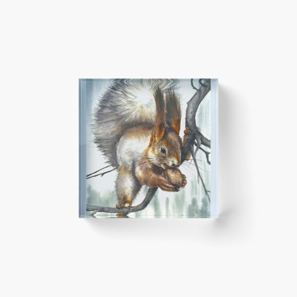 Item preview, Squirrel with a Walnut designed and sold by Eara03.