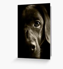 Chocolate Lab Greeting Card
