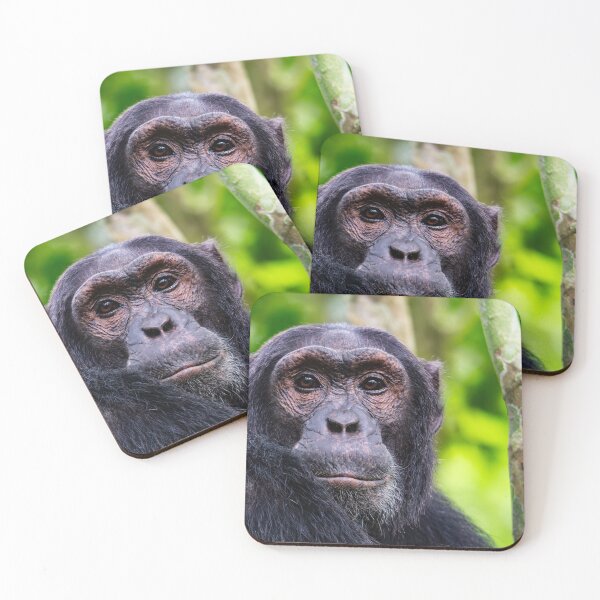 Item preview, Eyes of a Chimp designed and sold by Lee Wilson.