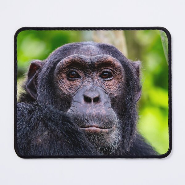 Item preview, Eyes of a Chimp designed and sold by Lee Wilson.
