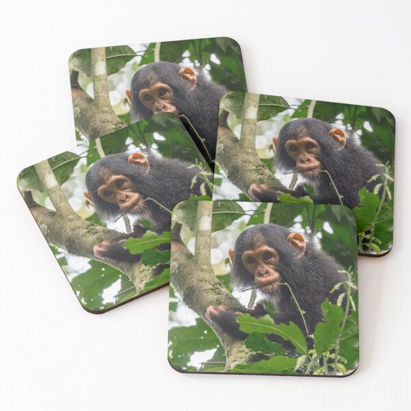 Item preview, Baby Chimpanzee designed and sold by Lee Wilson.